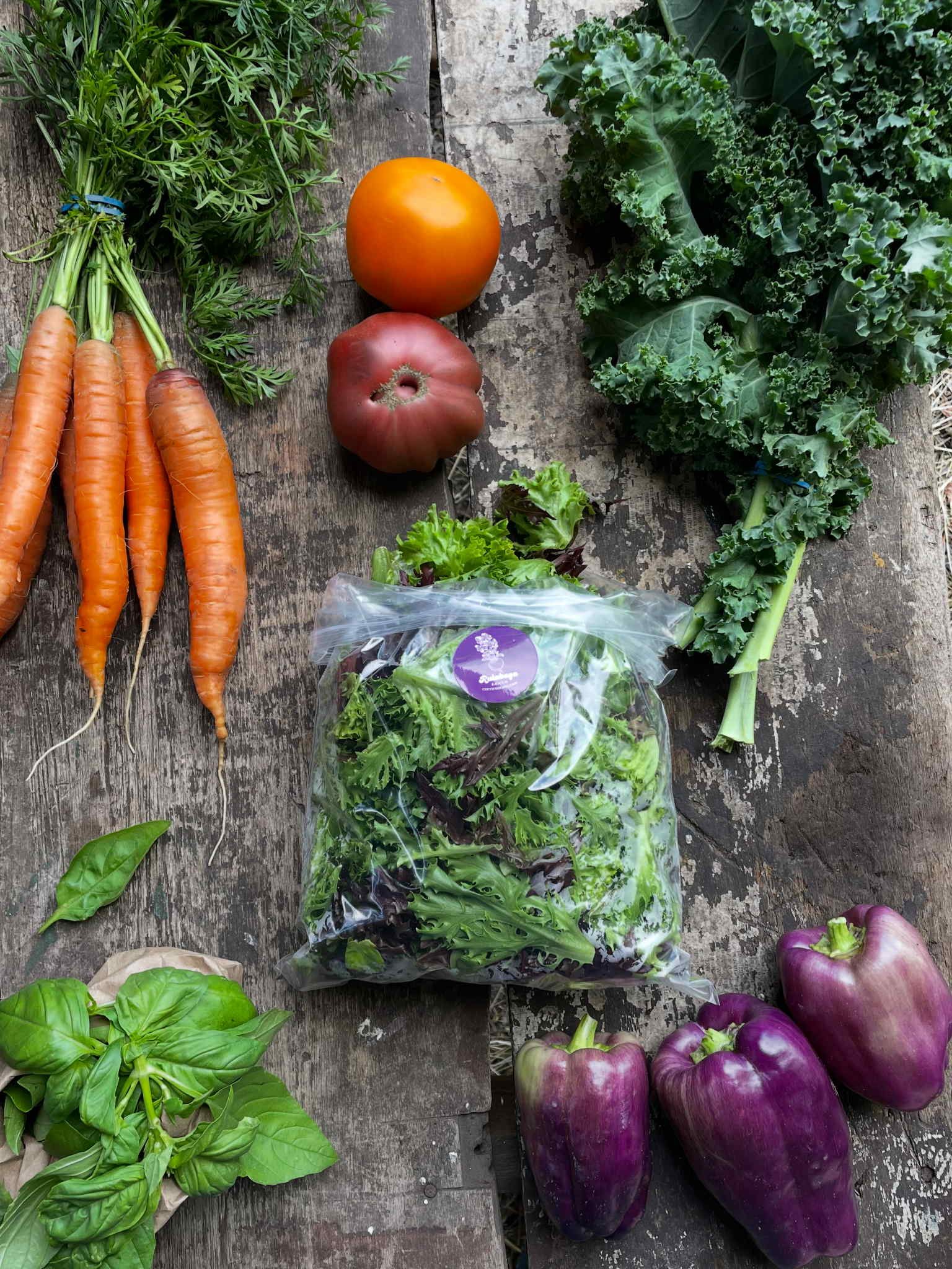 bf6c20df-df8c-4bbc-922b-63025ba279d0