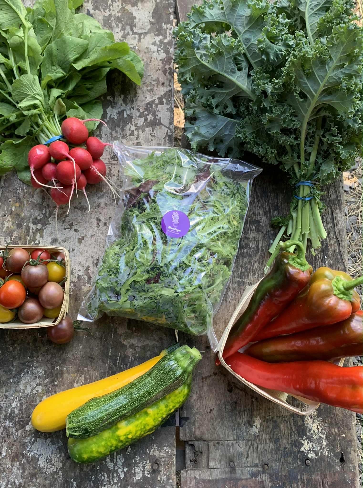 cf1ae752-1a14-4830-a3c5-e534ea1af496