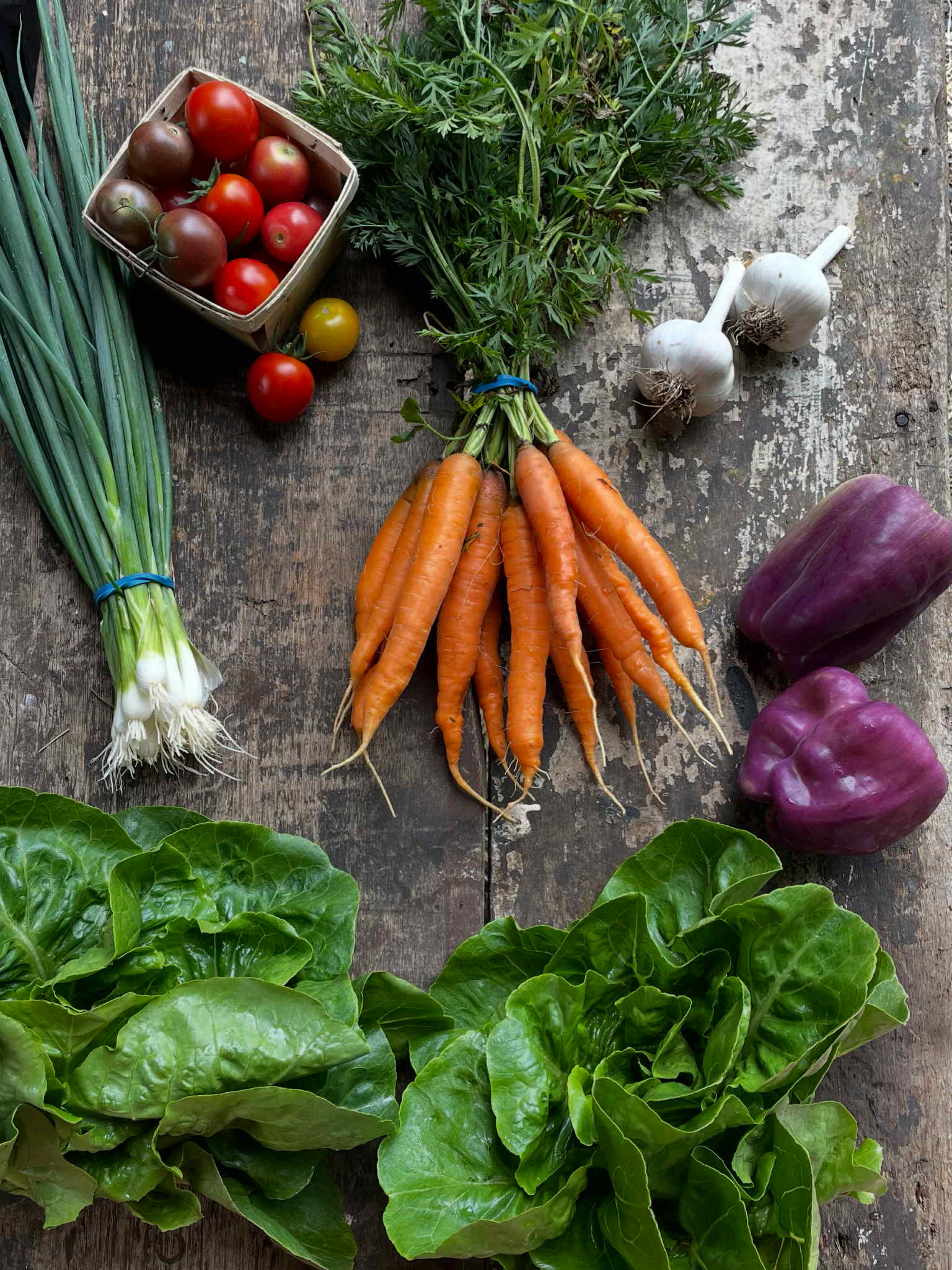 e4a77d11-20bd-461d-9019-93964d326a67